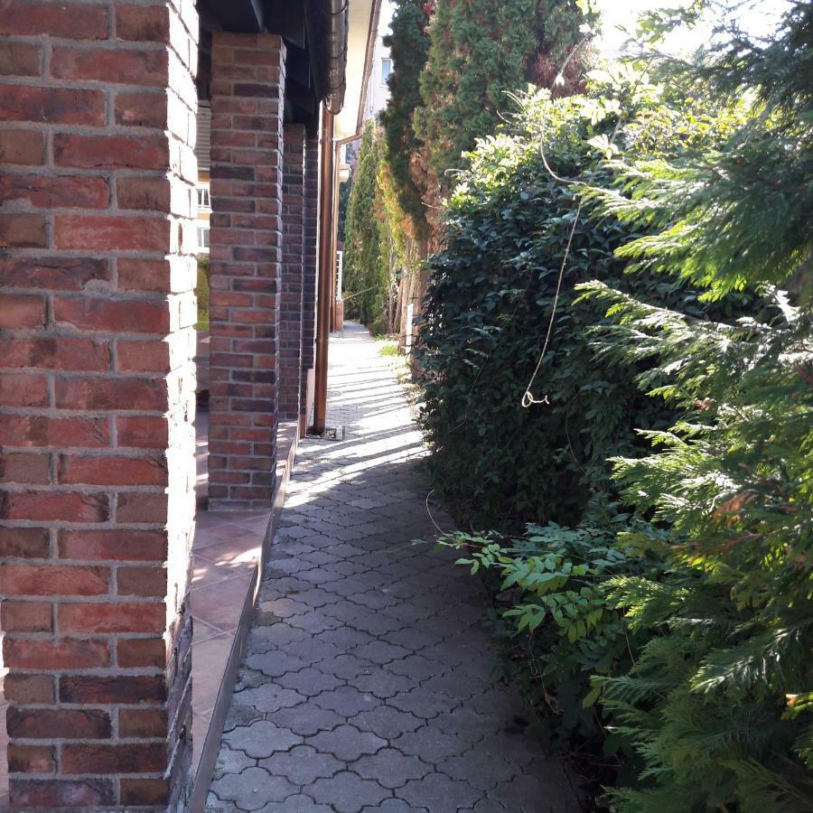 Villa Kysucka セネツ エクステリア 写真